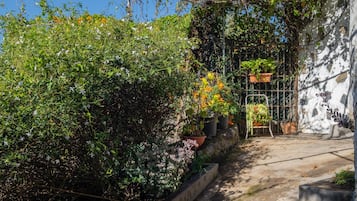 Teres/patio