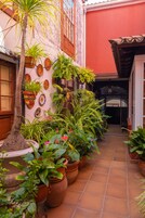 Un patio estrecho con plantas en macetas, una palmera y suelo de baldosas.