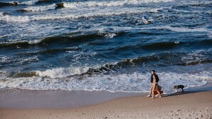 Une plage avec des vagues et une personne qui promène un chien.