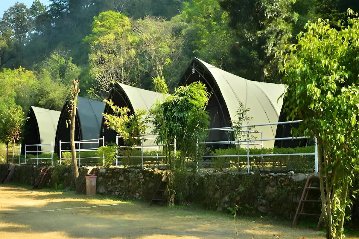 A row of green tents with a stone wall and metal fence in a natural setting.