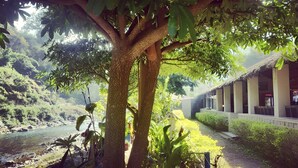 Un sentier bordé d’arbres mène à un bâtiment doté d’un toit de chaume et de colonnes.