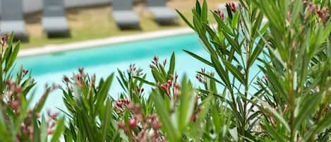 A pool area with lounge chairs and green plants in the foreground.