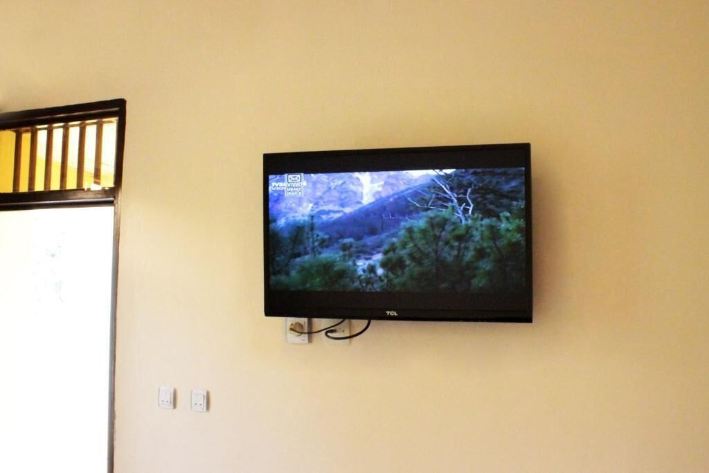 A flat-screen TV mounted on a wall, displaying a nature scene.