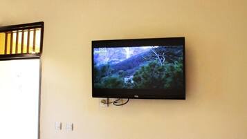 A flat-screen TV mounted on a wall, displaying a nature scene.
