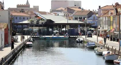 Lovely Apartment in the Center Of Aveiro