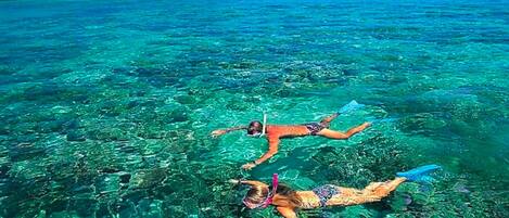 Spiaggia