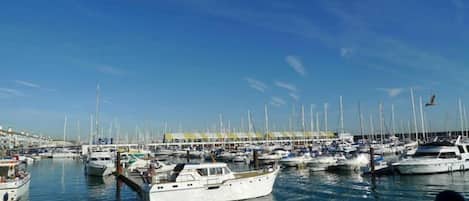 Port esportiu