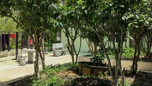 Taman