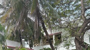 Un patio con suelo de piedra, palmeras y un edificio de techo rojo.