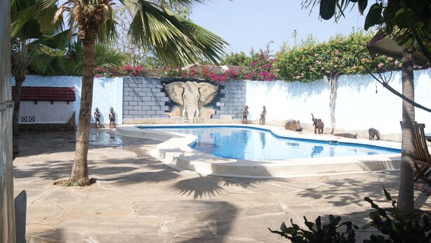 Una piscina con un muro de piedra y un mural de un elefante.
