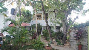 Un patio con un edificio blanco, palmeras y diversas plantas.