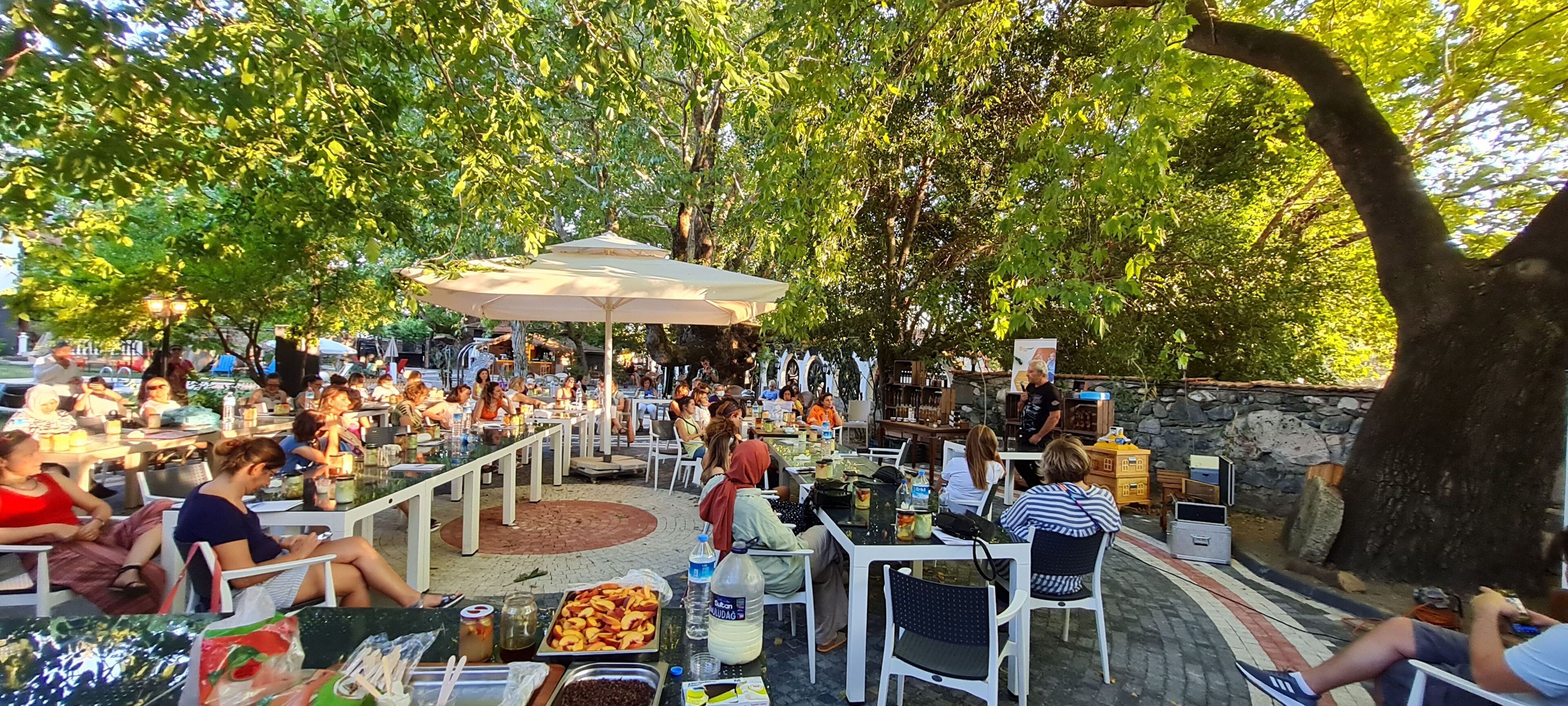 Un espace de restauration en plein air, avec des tables et des chaises disposées sous de grands arbres, le tout entouré de murs en pierre.
