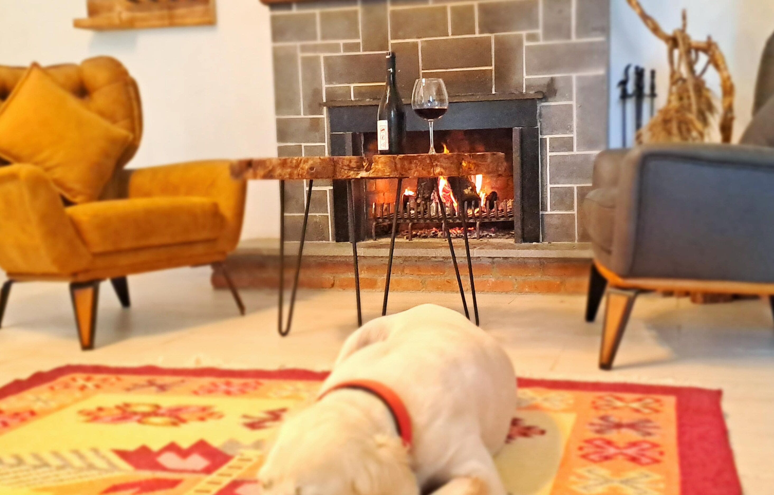 A living room with a fireplace, a dog lying on a rug, and two armchairs.