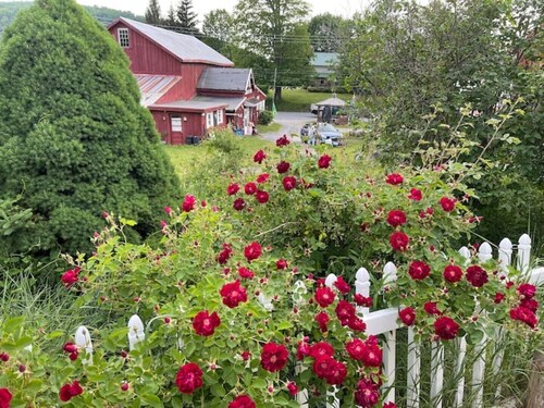 Pet friendly cabin 2 bedrooms  2 bathrooms