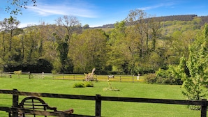 A grassy field with a wooden fence, a bench, and trees in the background. - Bilbrook Cottage, Near Dunster (Dunster)
