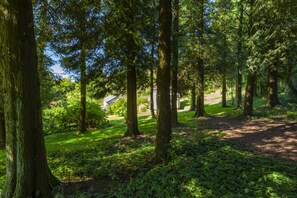 Property grounds - Barn Owl Cottage, Wheddon Cross (Wheddon Cross)