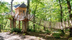 Una casa en los árboles con un puente colgante.