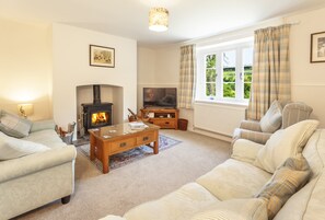 Télévision, cheminée