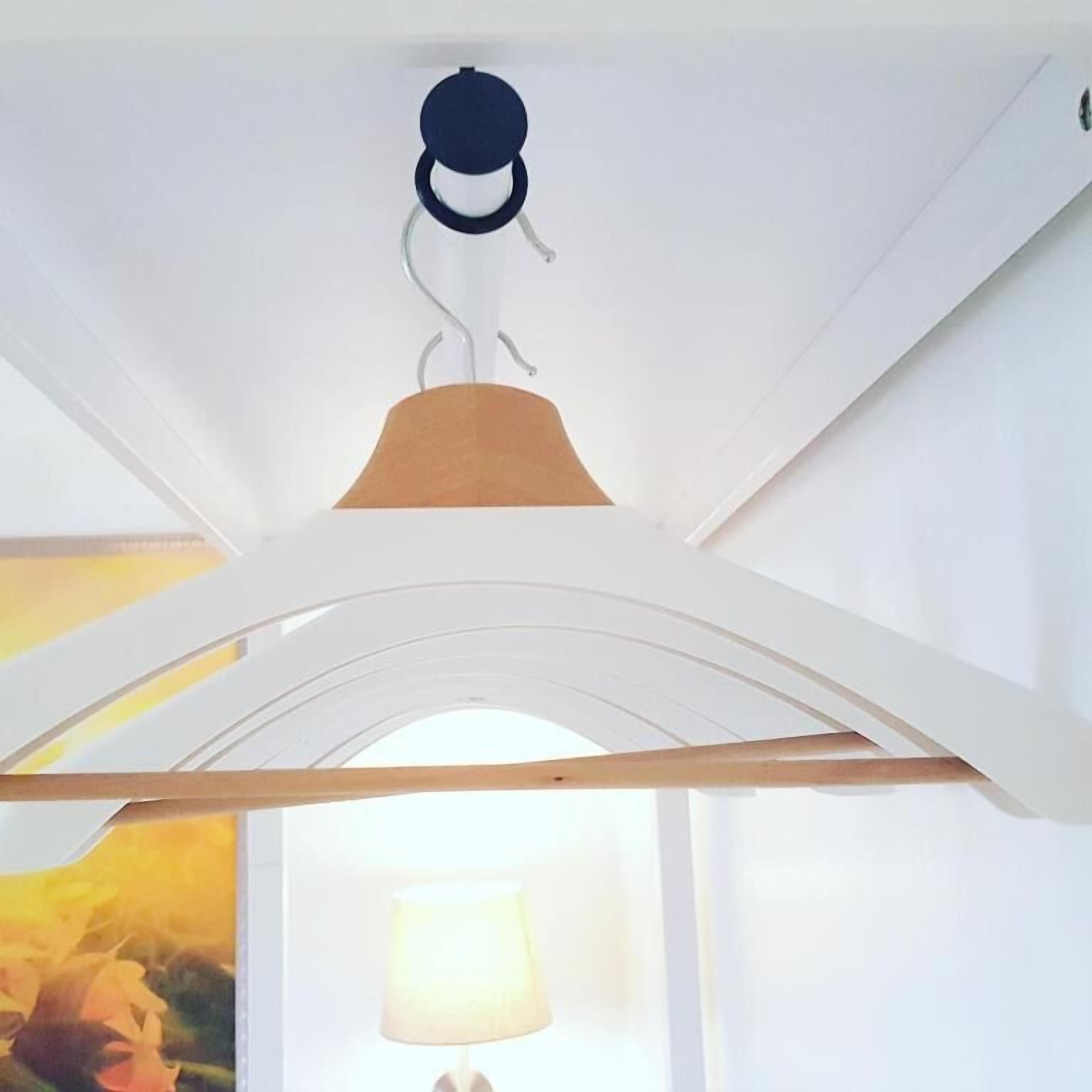 A ceiling with a hanging light fixture and a window with a view of a landscape.