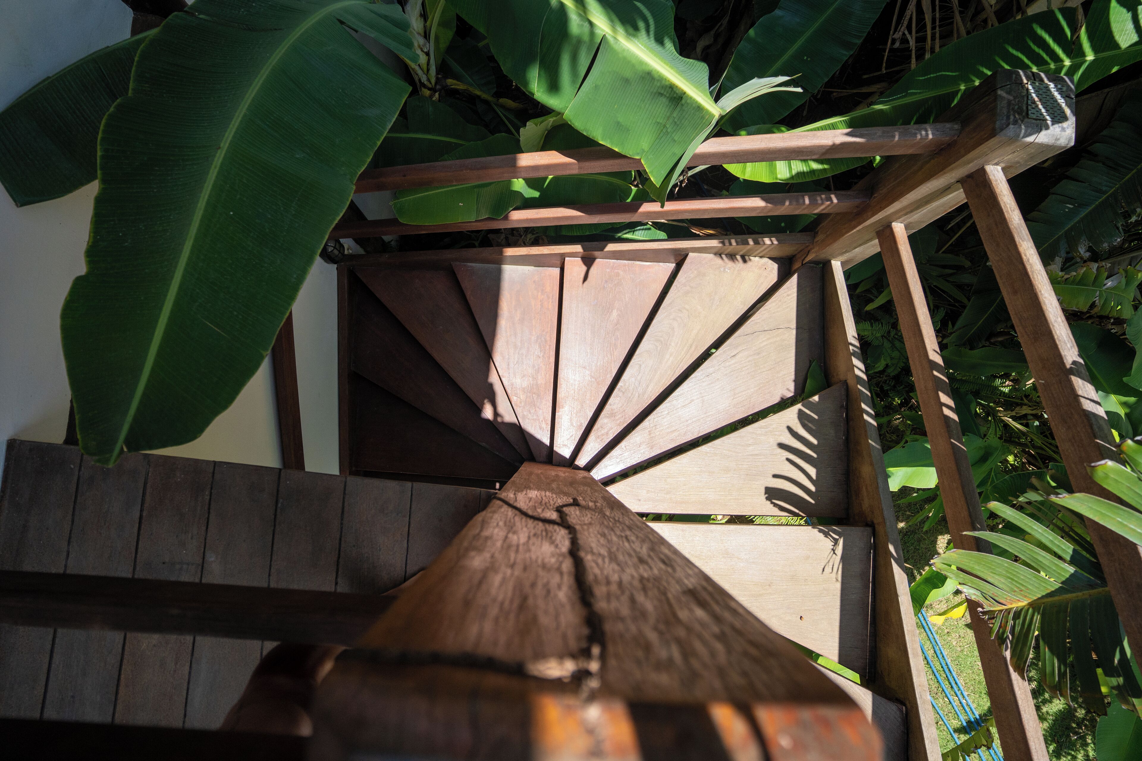 A wooden staircase with a thatched roof, surrounded by lush green banana leaves.