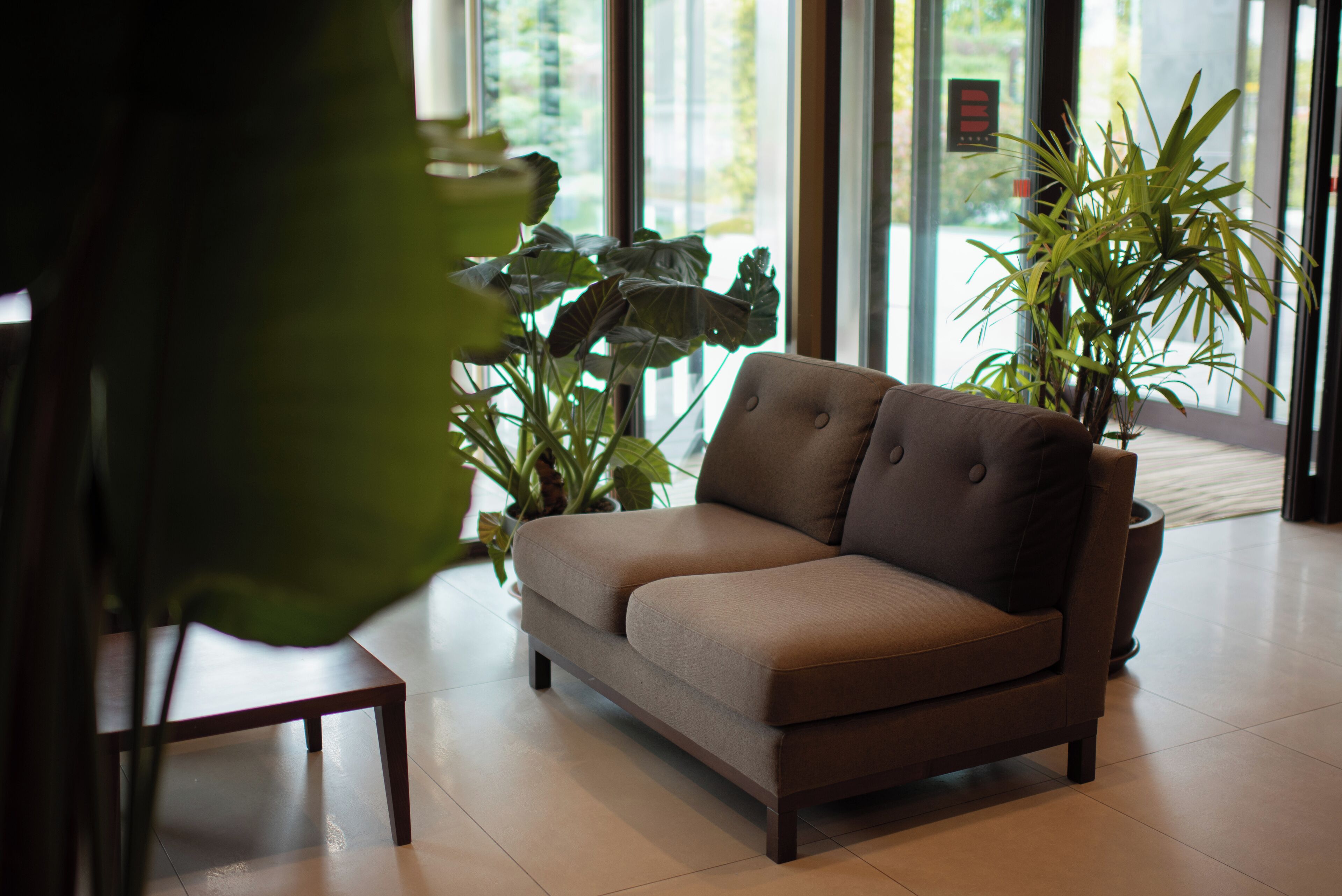 Un sofá marrón en una habitación con ventanas amplias y dos plantas en macetas.
