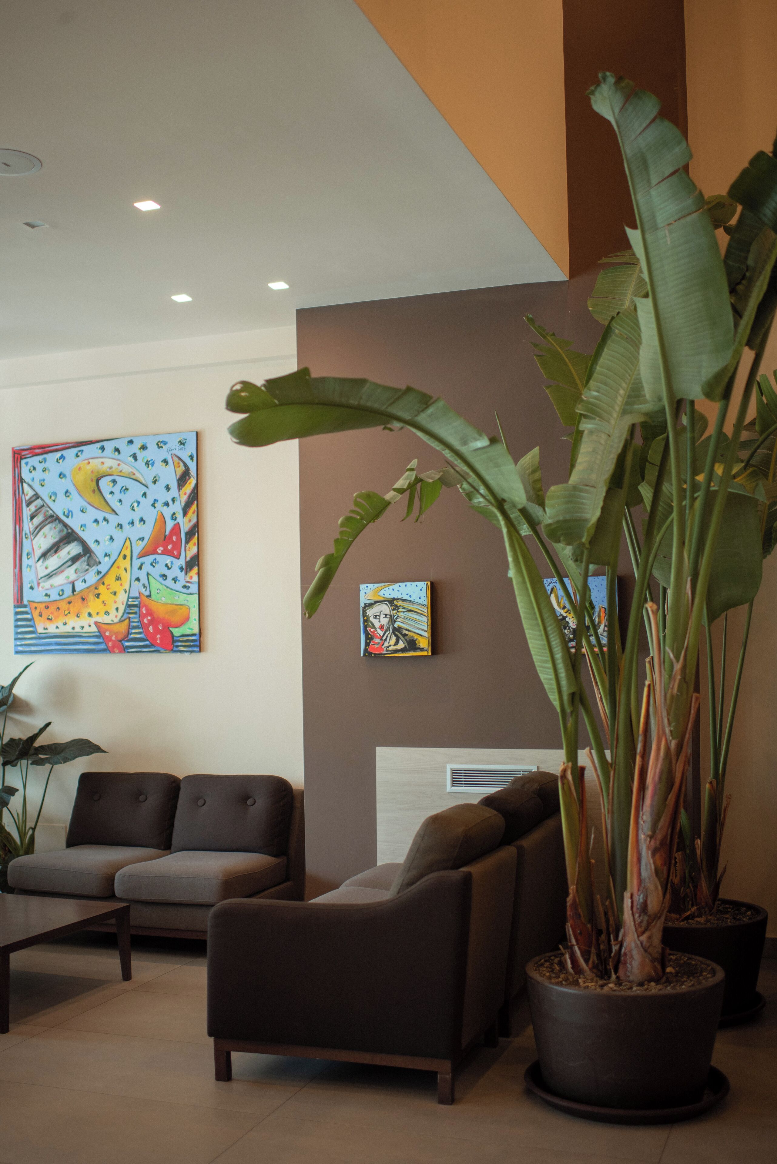 Ein modernes Interieur mit zwei Sofas, einer großen Topfpflanze und zwei Wandbildern.