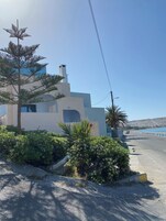 Jardín