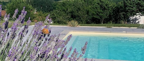 Piscine extérieure