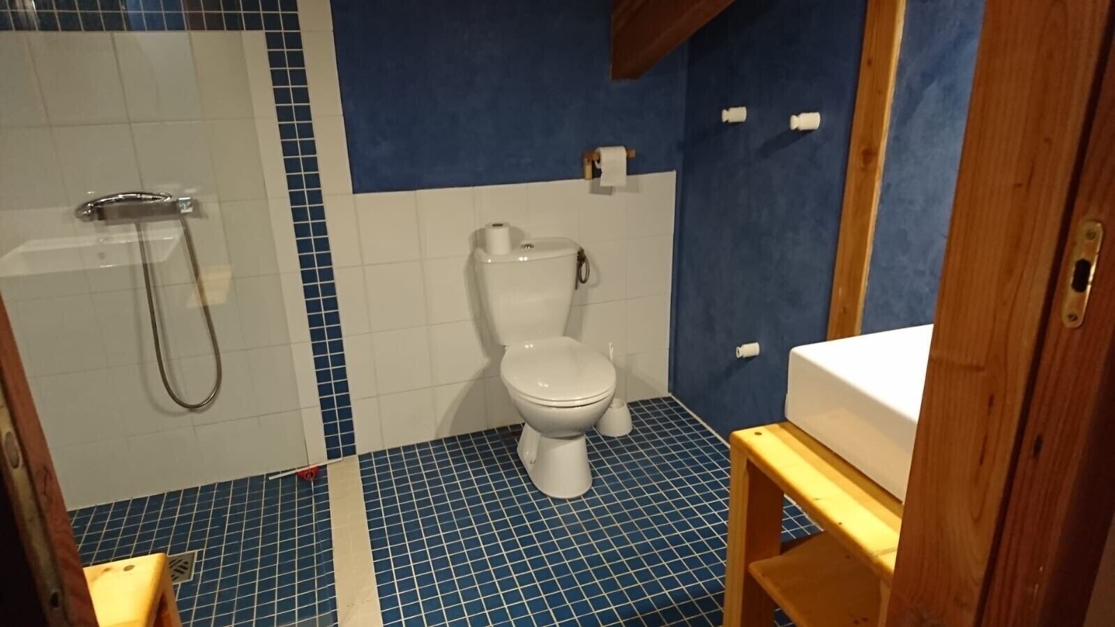 Een kleine badkamer met toilet, douche en wastafel.