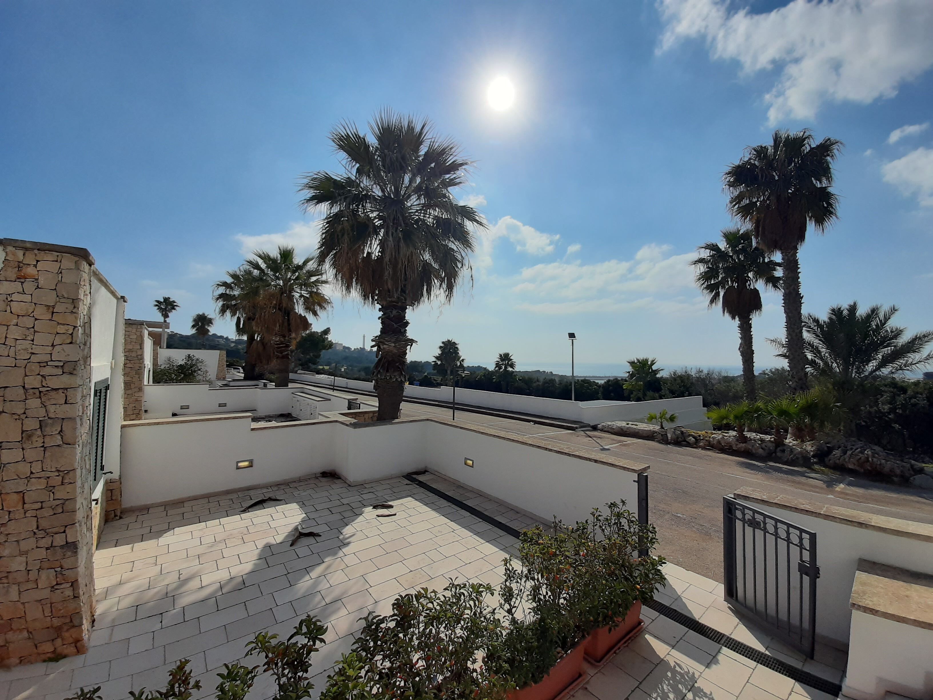 Una terraza en la azotea con palmeras, cielo despejado y vista distante al mar.