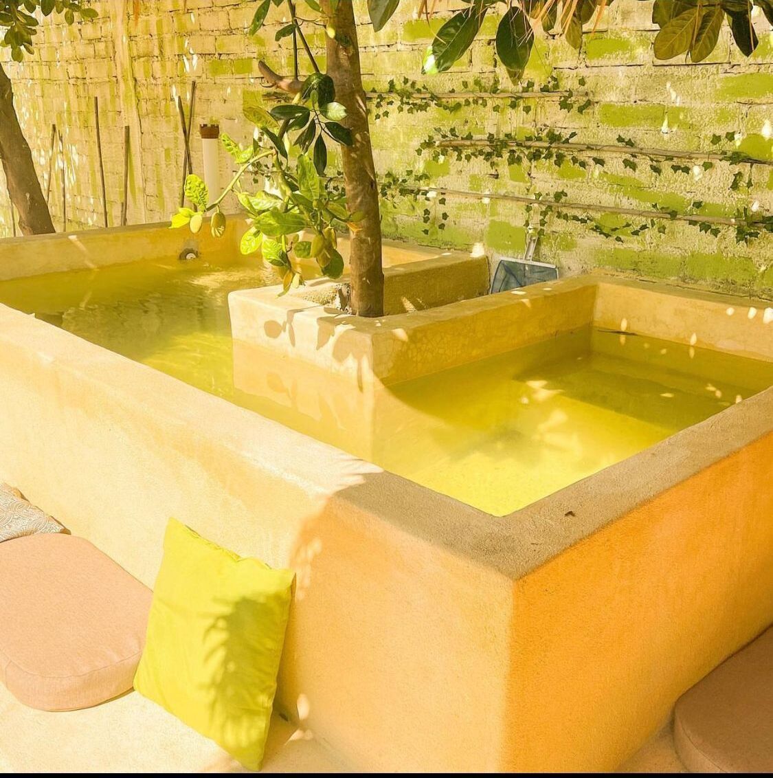 Overnattingsstedets uteområder