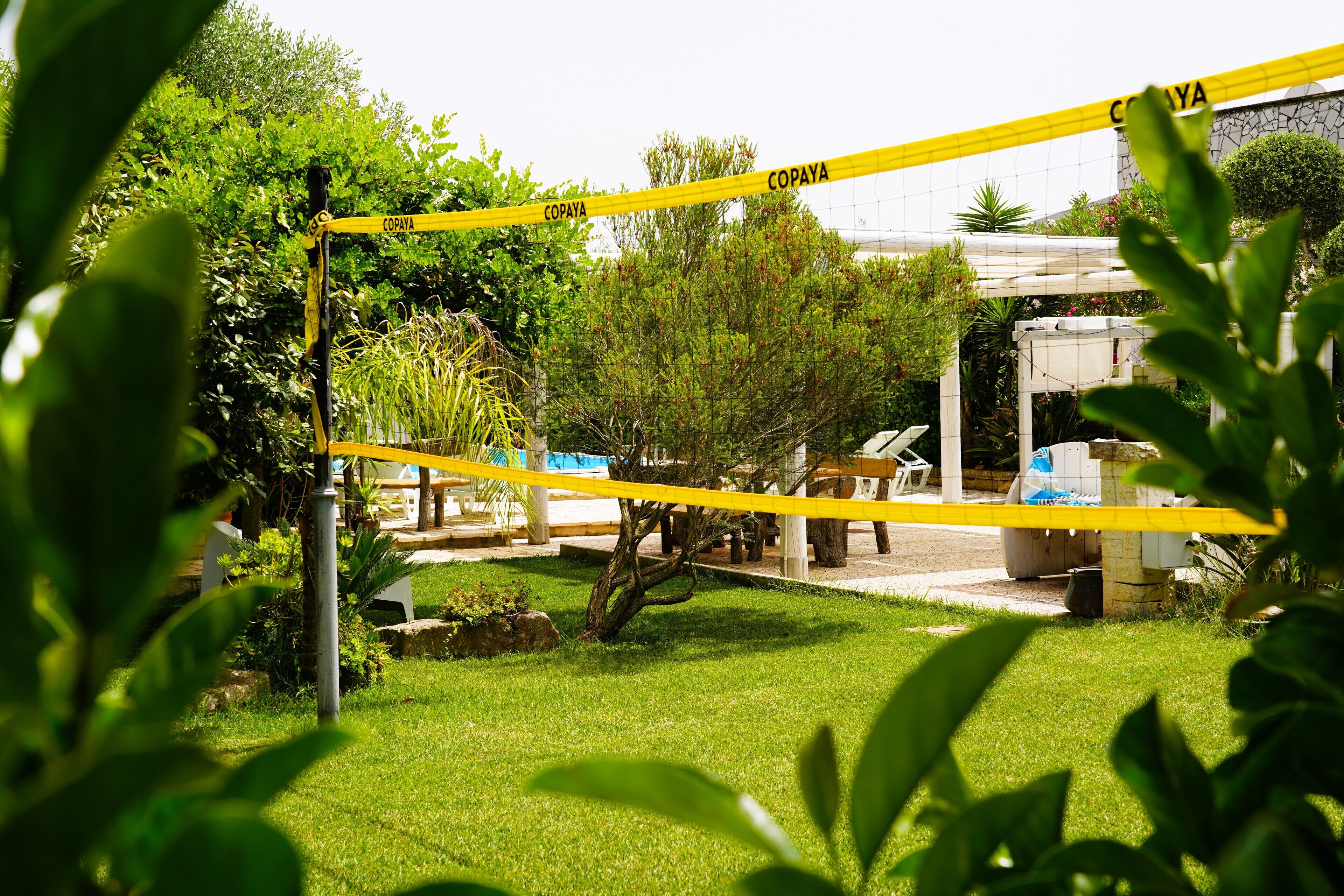 A fenced outdoor area with greenery and a structure in the background.