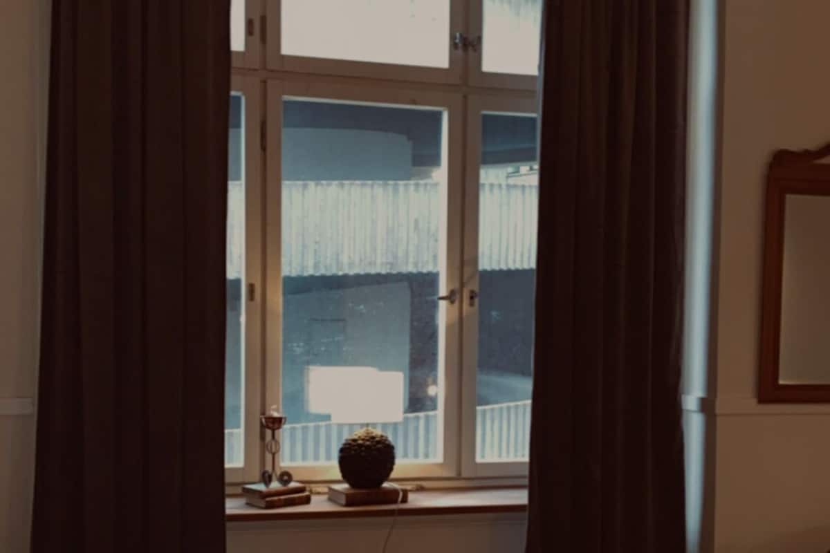 Una habitación con cama, ventana con cortinas, radiador y una pequeña mesa con una planta.