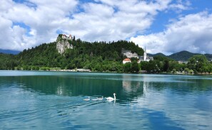 Unclassified image, 5 of 6, button