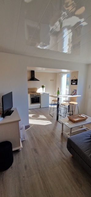 TV, fireplace, books - Les Deux Délices (Dosches)