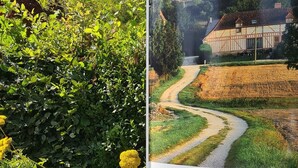 Placa para uma aldeia parque 100% natural, exibindo uma vista panorâmica de um caminho de aldeia, edifícios tradicionais e moinhos de vento.
