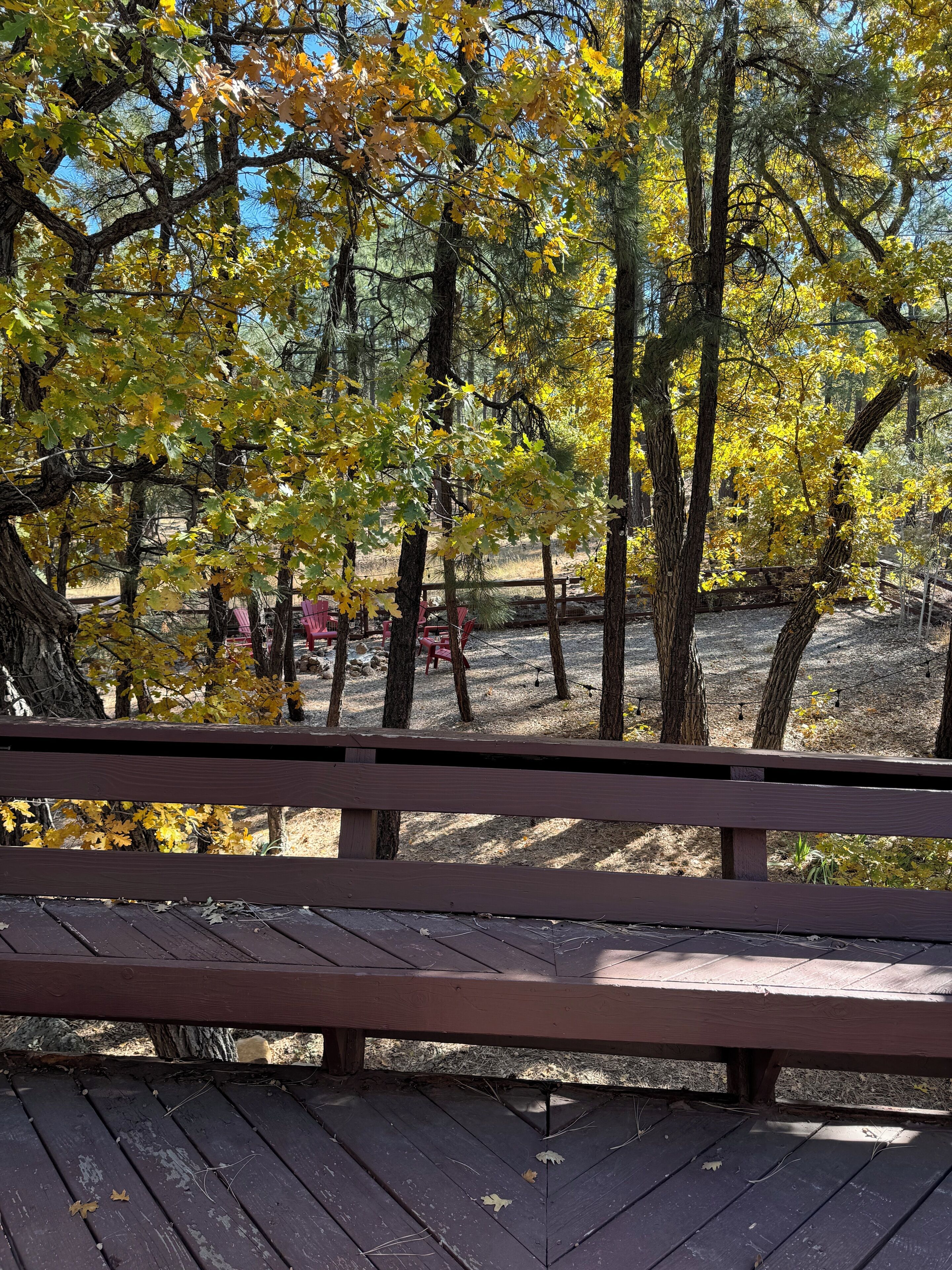 A wooden deck with a view of a park area featuring trees with yellow leaves, a wooden fence, and red chairs.