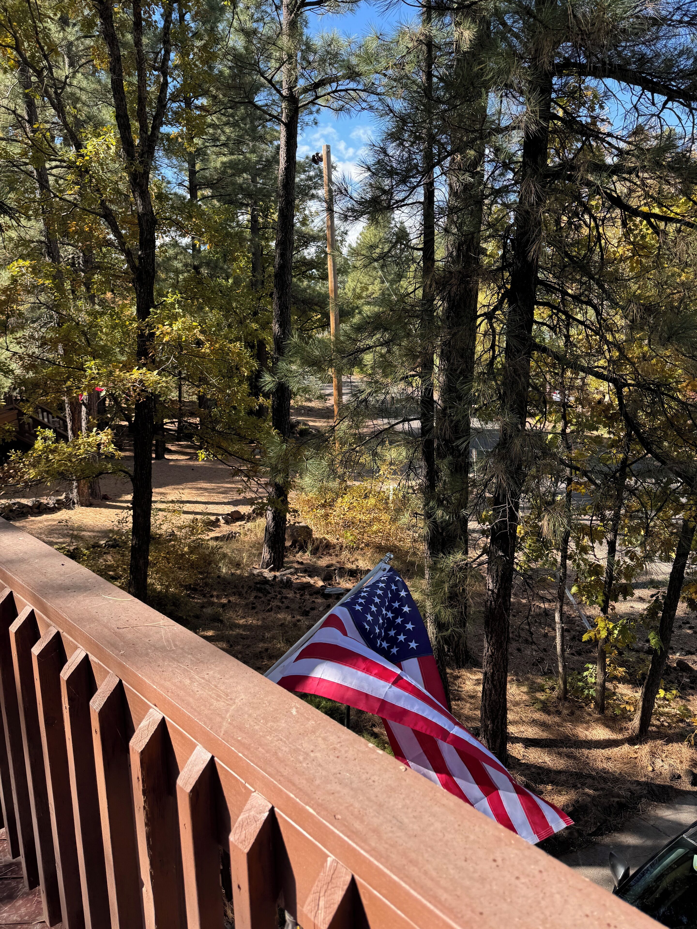 Eine Holzterrasse mit einer amerikanischen Flagge, umgeben von Bäumen und blauem Himmel.