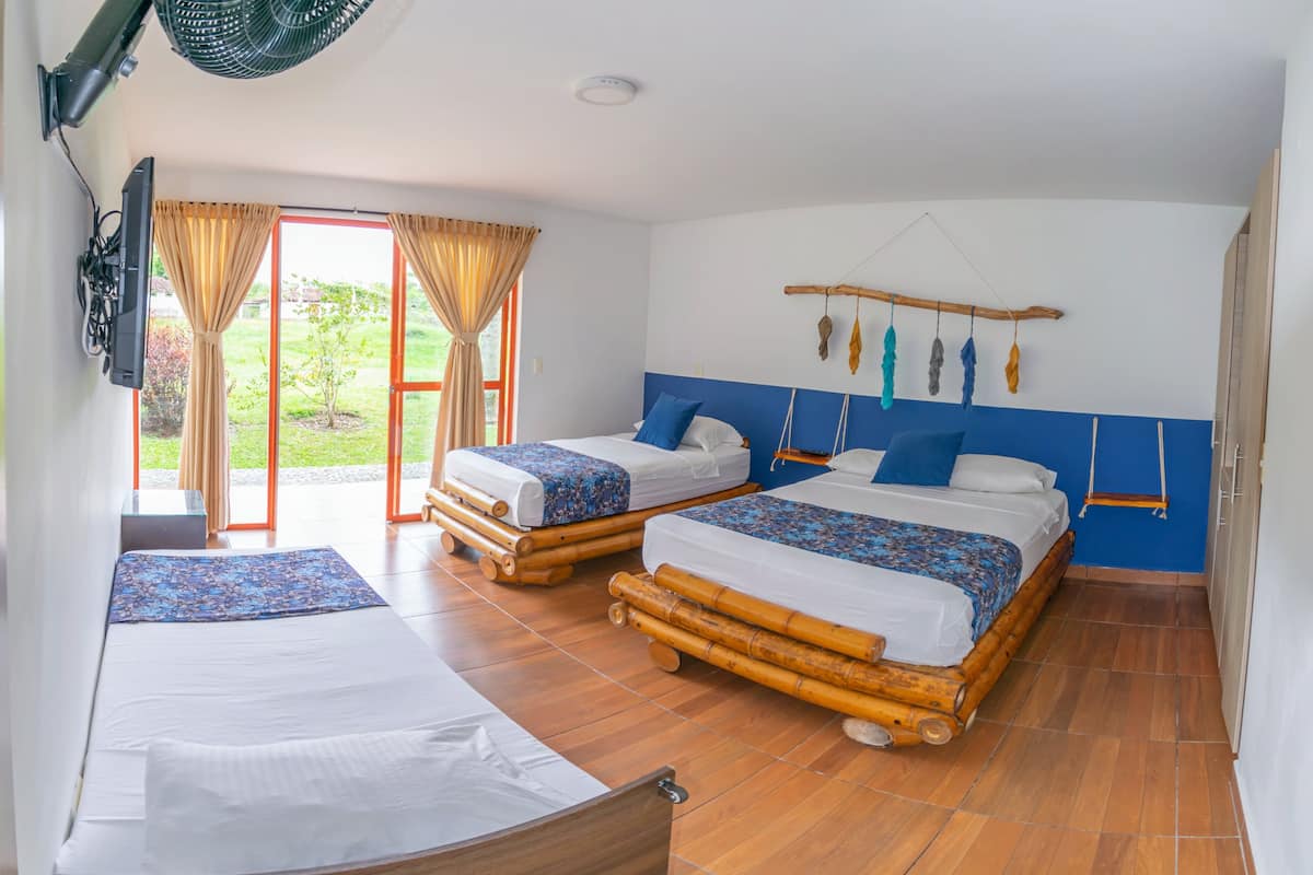 A room with two beds, a TV, and a view of greenery outside.