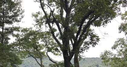 Mtn. Getaway w/New Hot tub close to Blue Ridge Parkway