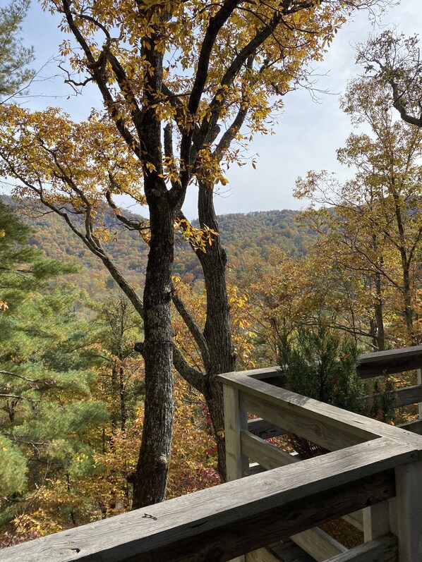 A wooden viewing platform overlooking a forested area with autumn foliage.