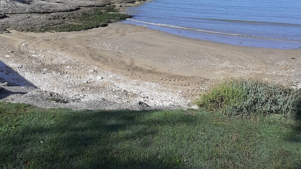 Paesaggio costiero con un litorale roccioso, uno sfondo erboso e un cielo azzurro limpido.