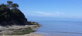 Spacious 2-room apartment with terrace 250 m from the beach