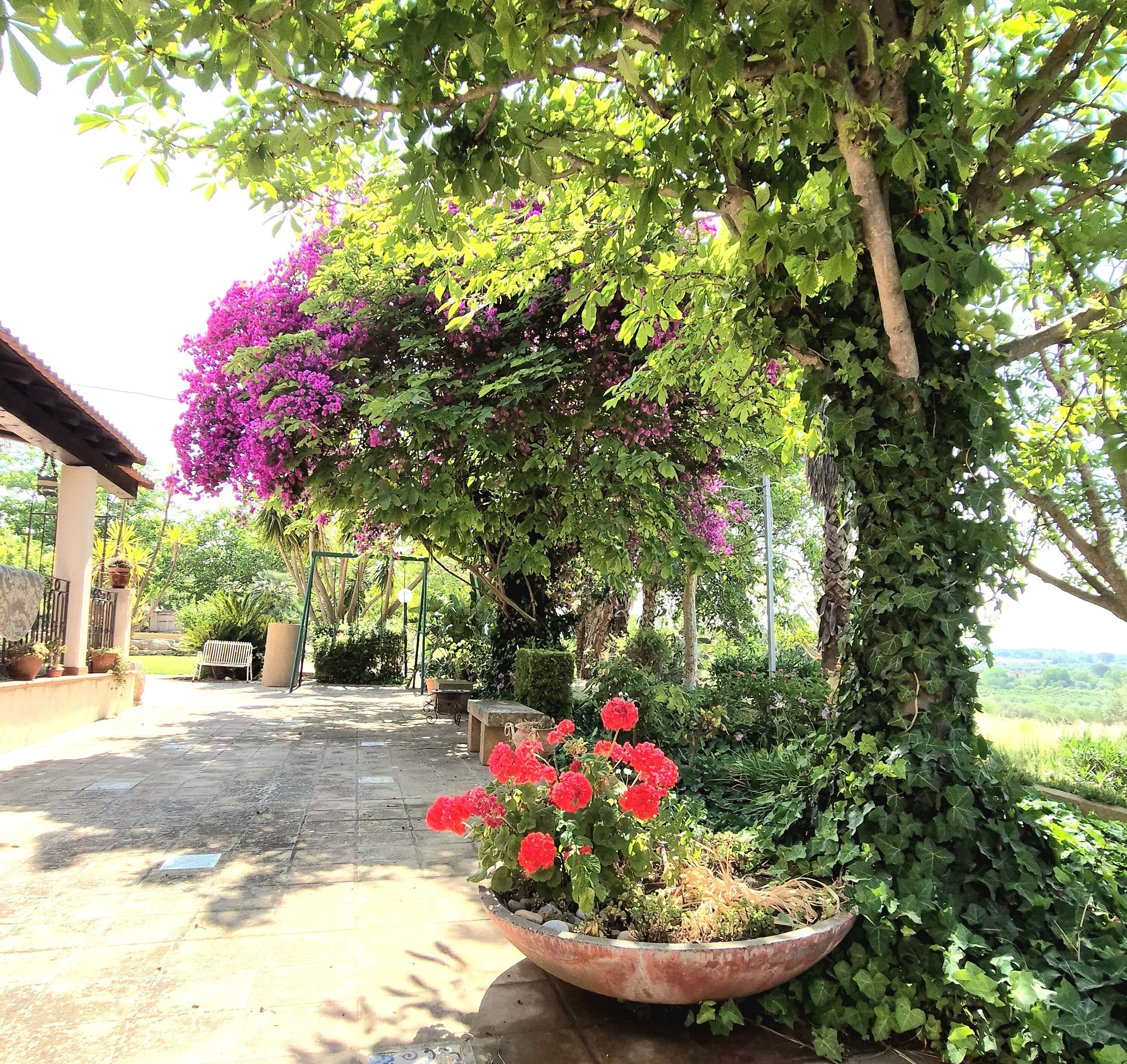 Enceinte de l’hébergement