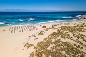 A beach with rows of umbrellas and beach chairs, a lifeguard tower, and a sandy landscape with sparse vegetation.