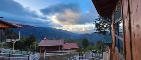 المنطقة المحيطة بالمنشأة