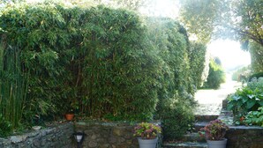 A stone wall with a potted plant and a lantern.