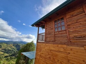 Ulkopuoli