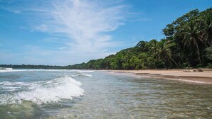A beach with clear water, a sandy shore, and dense tropical vegetation. - El Oasis Beachfront - Oceanfront Escape (Manzanillo)