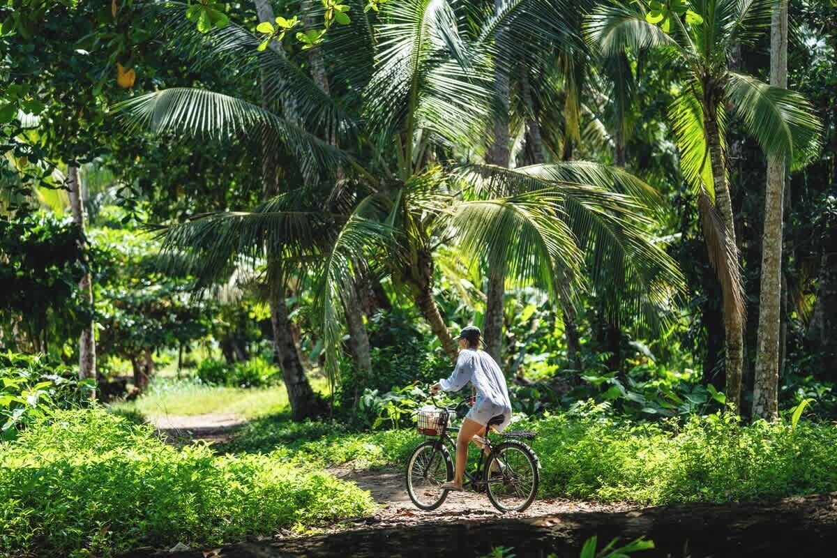 A person riding a bicycle on a dirt path surrounded by lush greenery and palm trees.